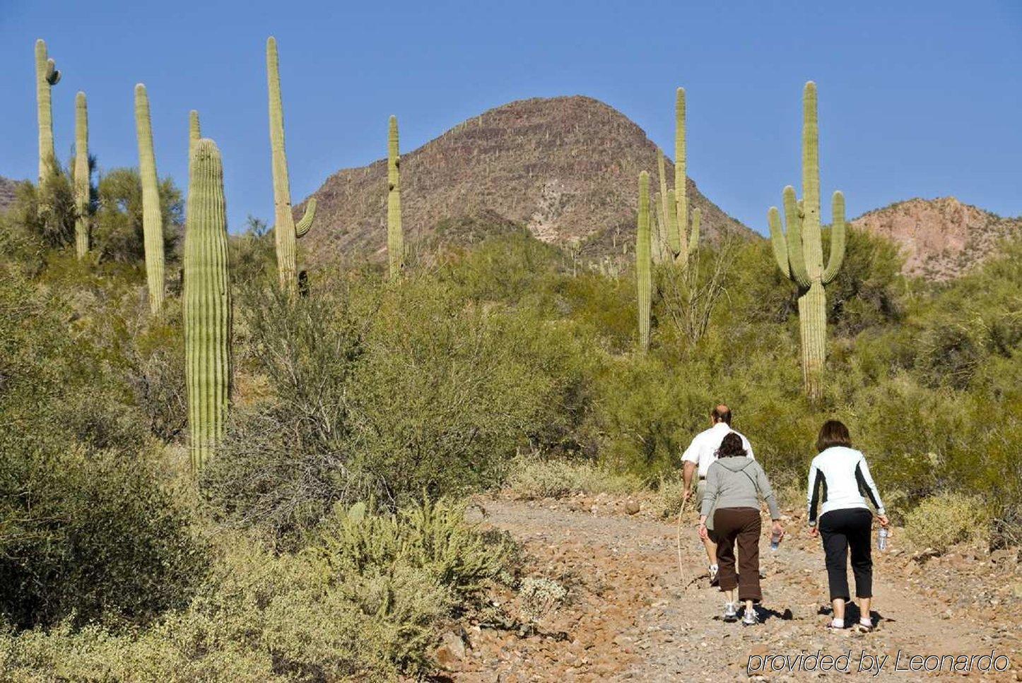 Hampton Inn & Suites Phoenix/Scottsdale Esterno foto